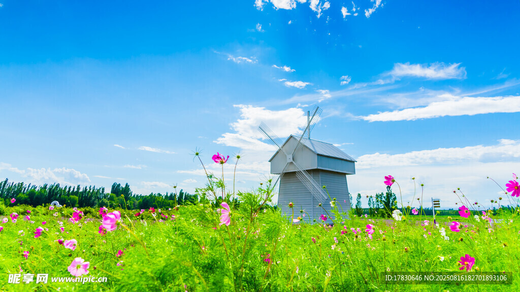 花海中的小屋