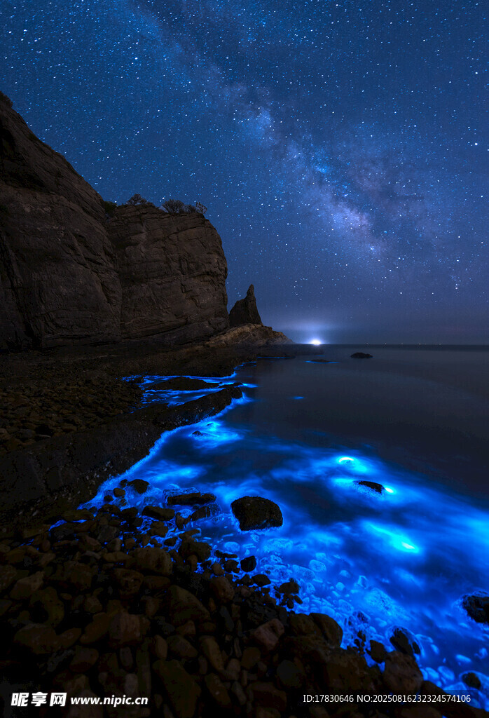 藍眼淚海灘夜景夢幻畫面
