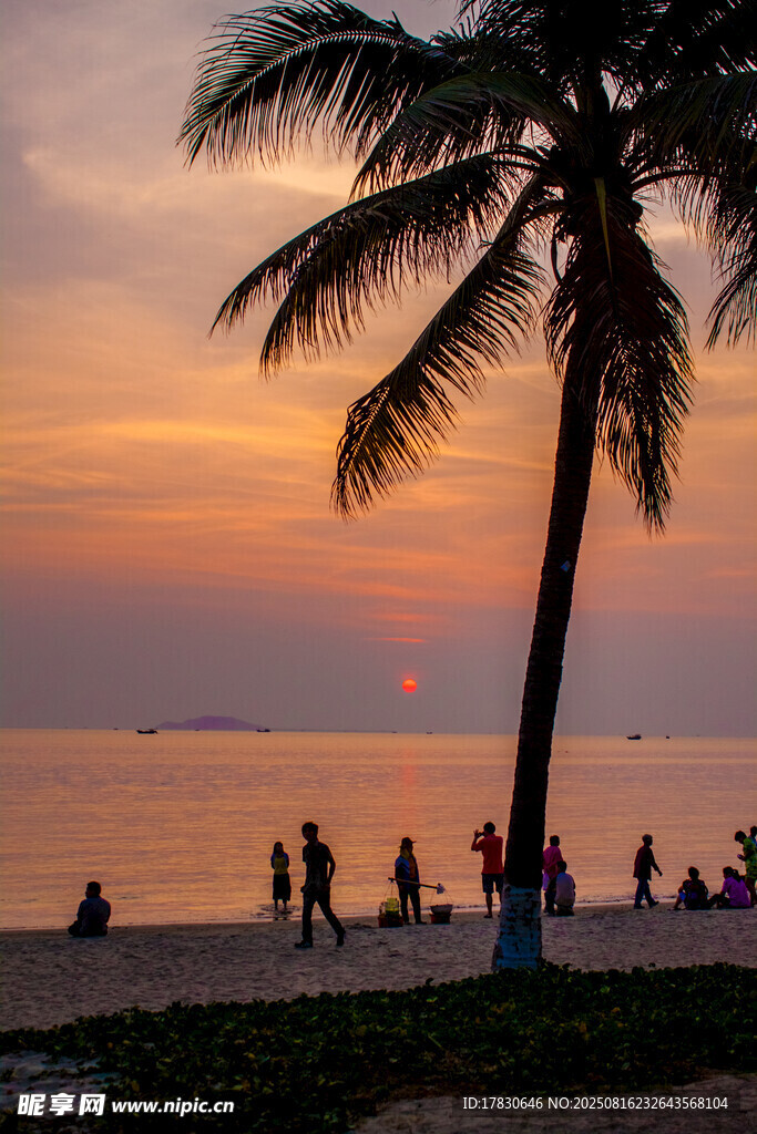 夕陽下的椰樹海灘美景