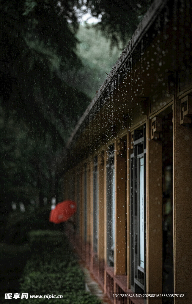 中式古建旁的靜謐景致