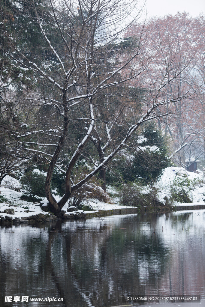 湖泊雪景 