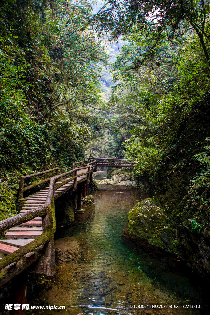 山間木橋流水綠意盎然