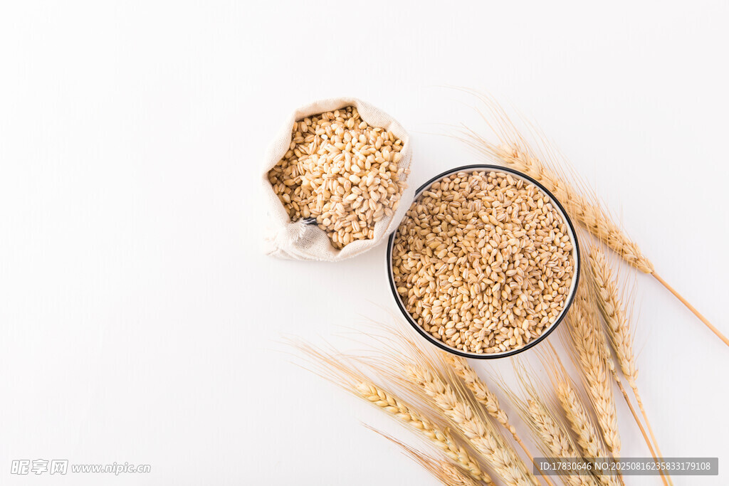 麥粒與麥穗的靜物展示