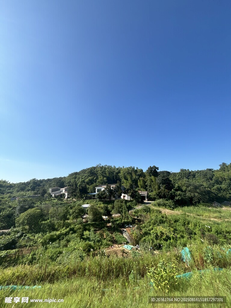鄉(xiāng)村綠野風(fēng)光