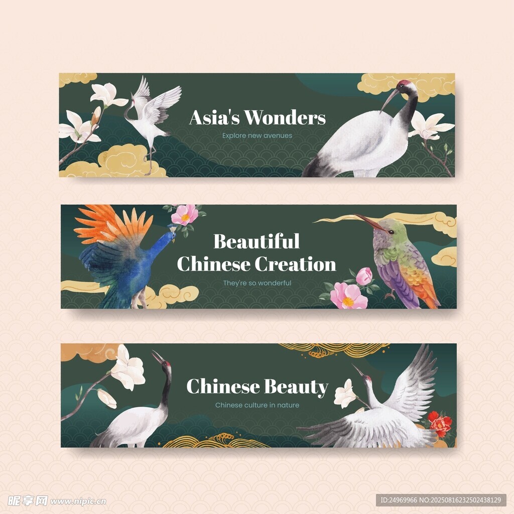 鳥類主題橫幅設計素材