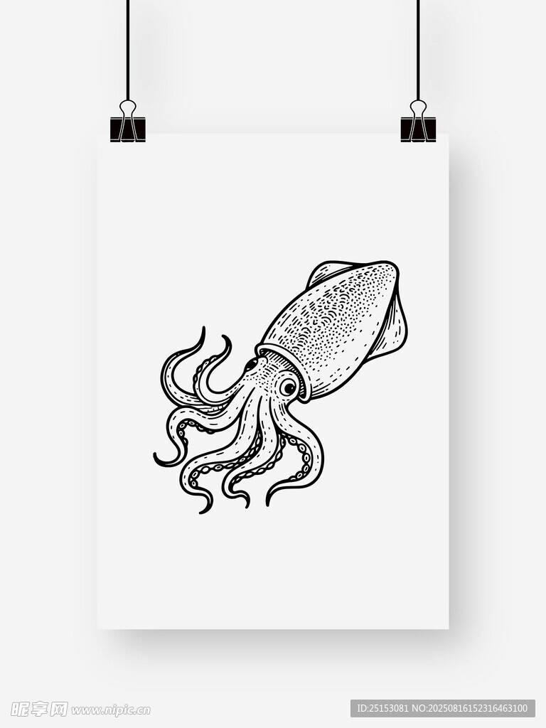 魷魚