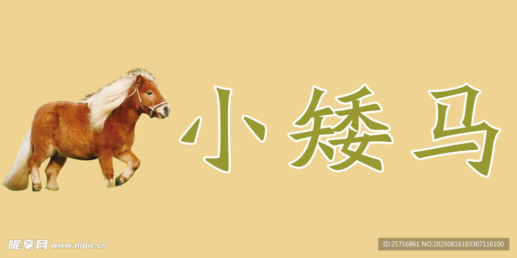 小矮馬名牌