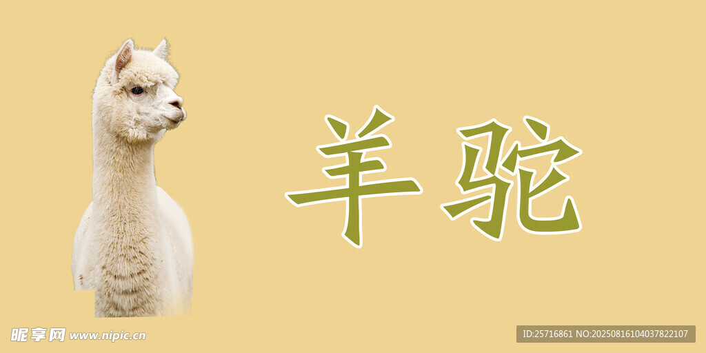 羊駝名牌