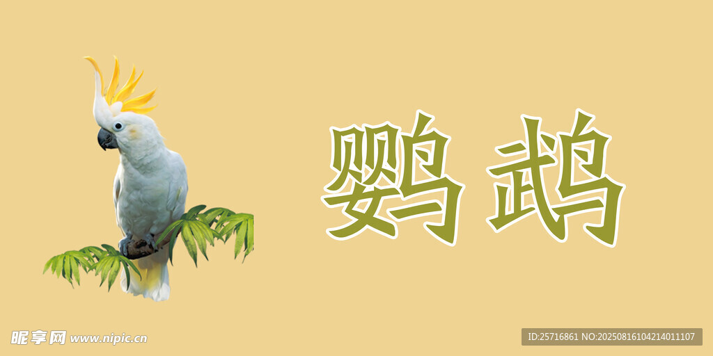 鸚鵡名牌