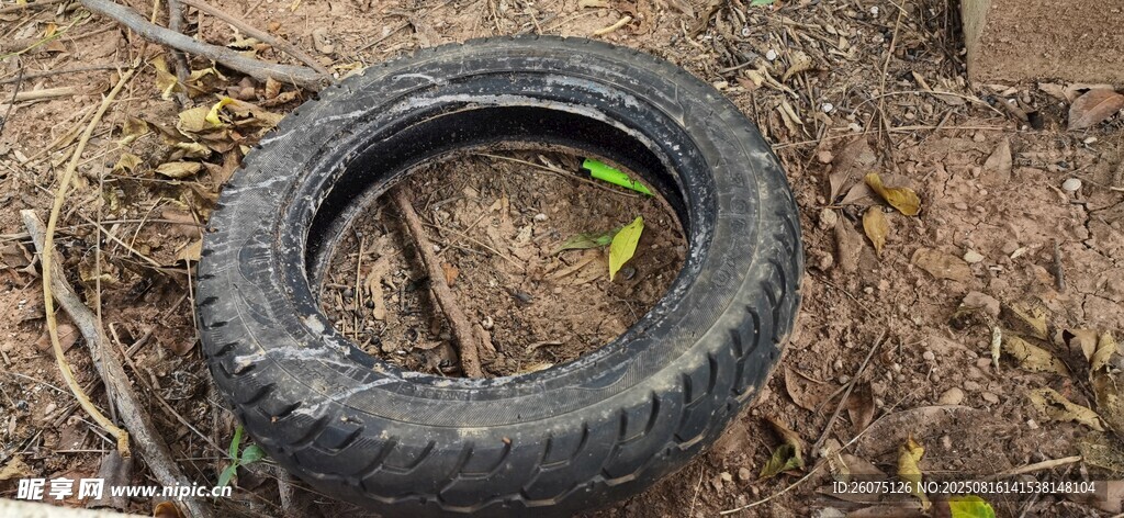 廢棄輪胎置于荒野地面