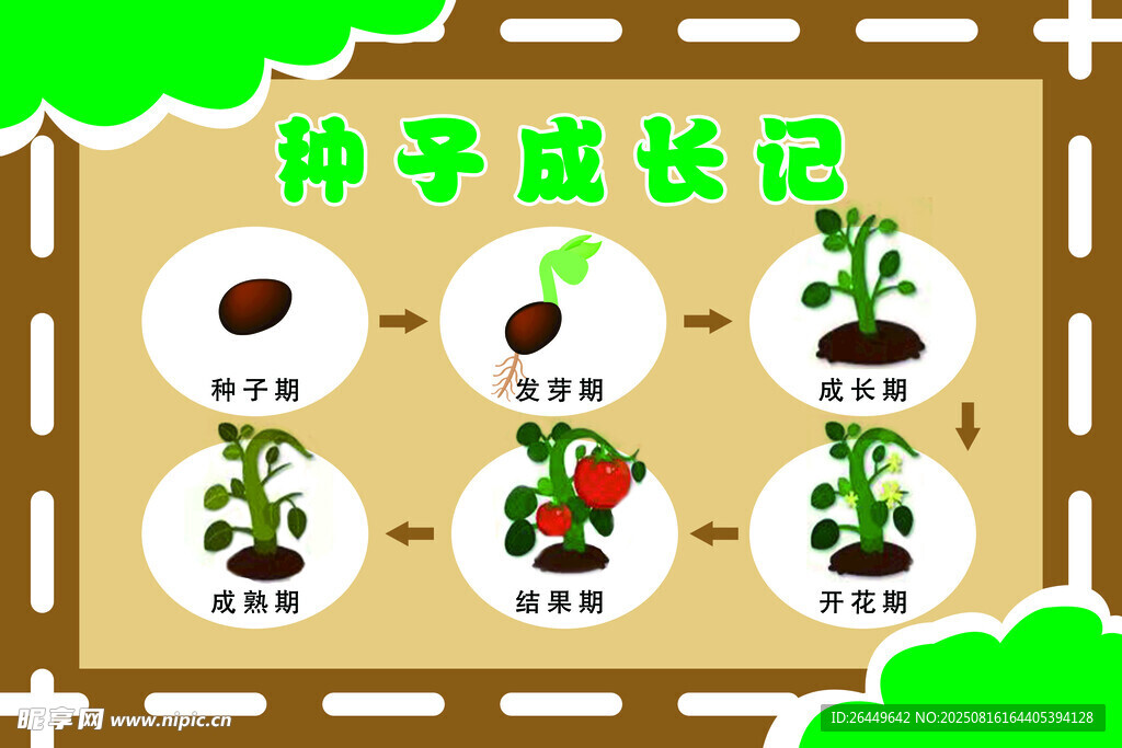 種子成熟記