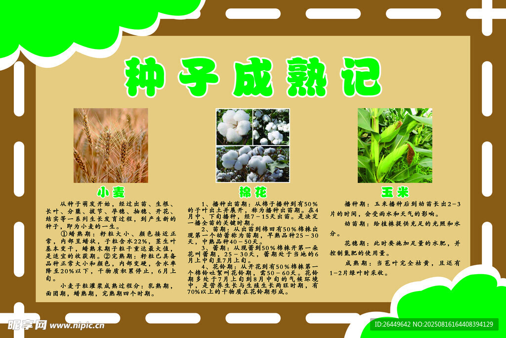 種子成熟記