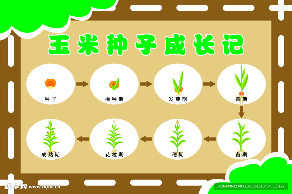 種子成長記