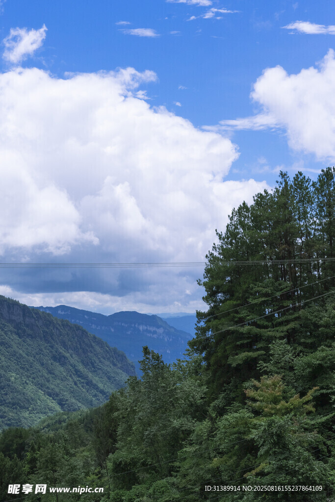 山間云景 綠意盎然