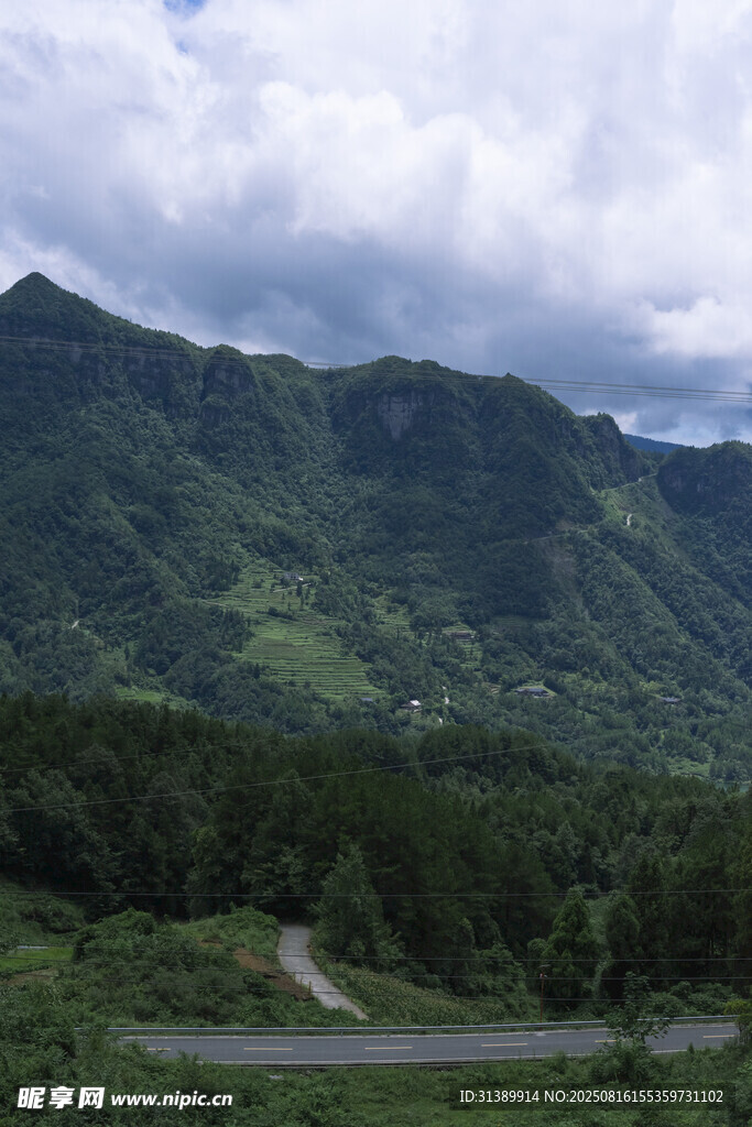 山間公路穿行于翠綠山林