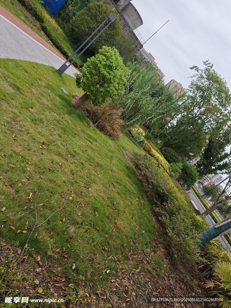 戶外翠綠草坪與綠植景觀
