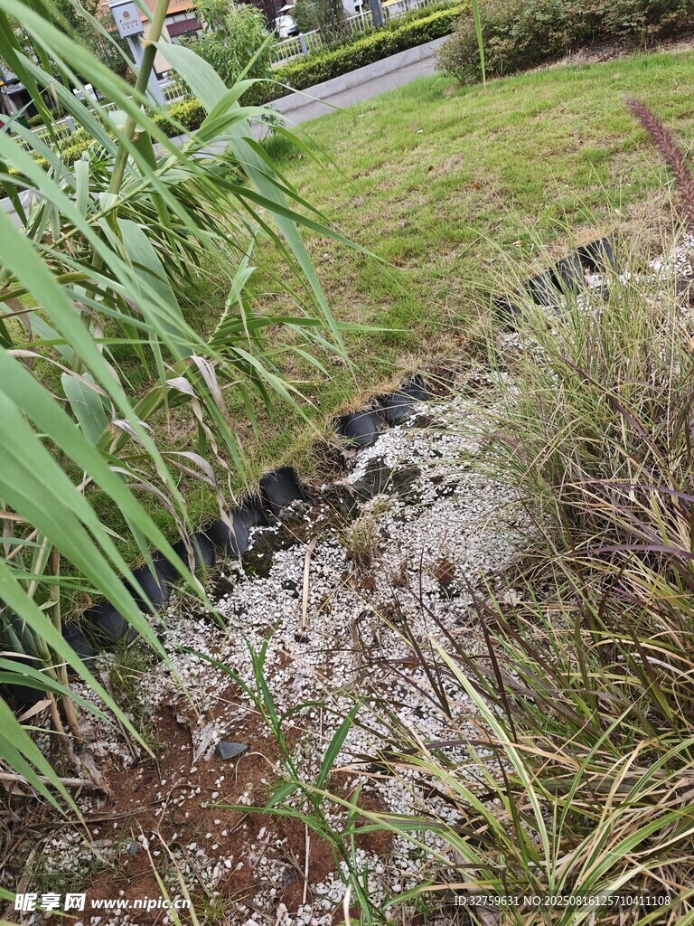 戶外草地旁的溝渠景象