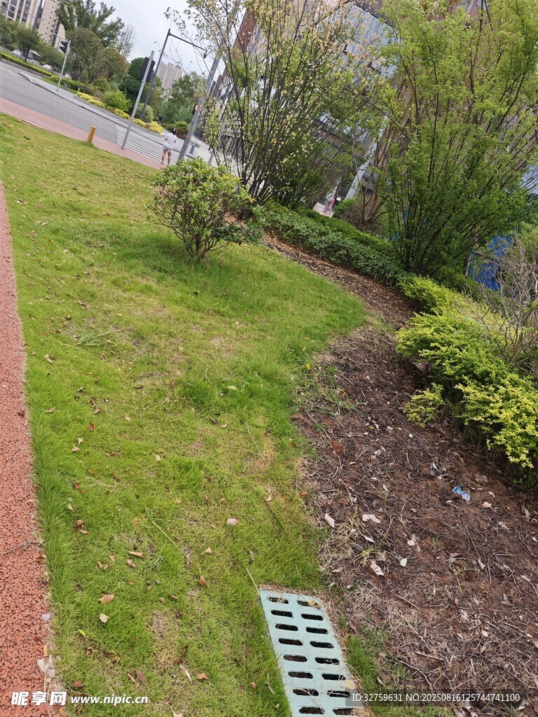 戶外綠植景觀一角