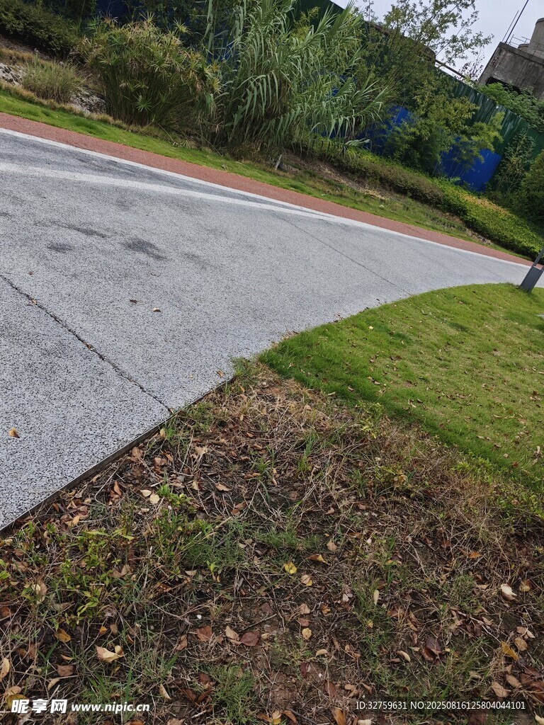 彎曲道路旁的草地景觀