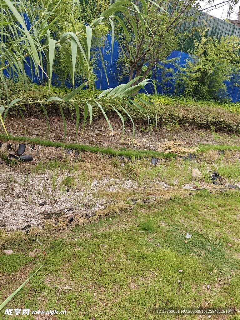 戶外草地旁的泥土地帶