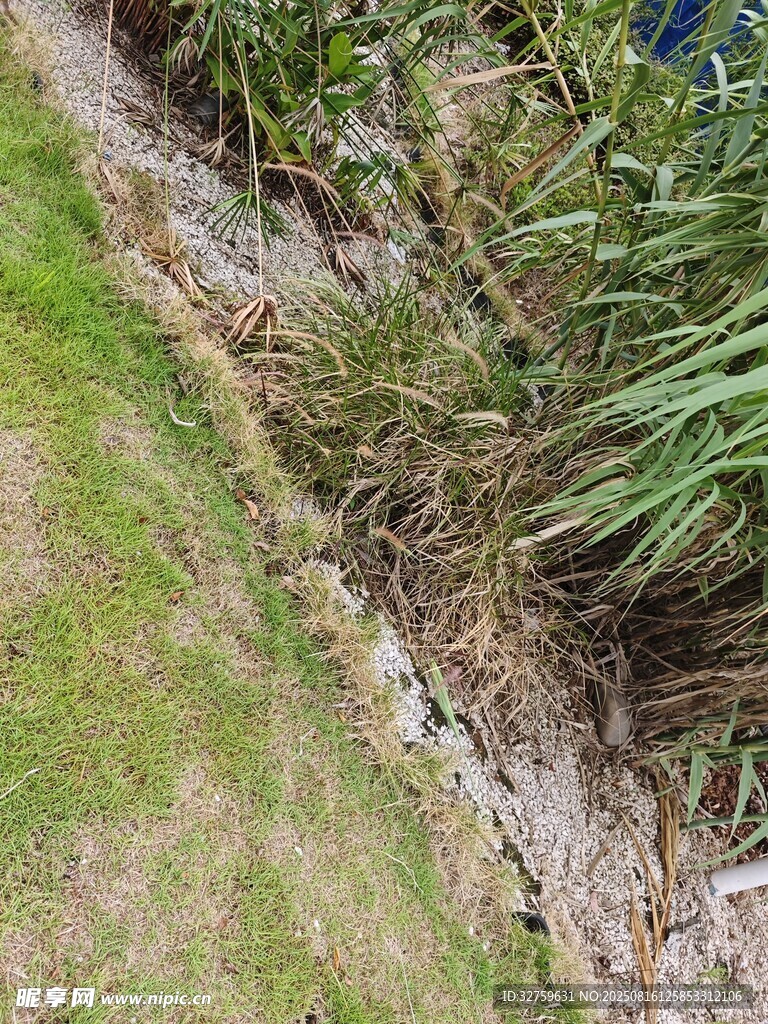 山坡邊的綠植與碎石