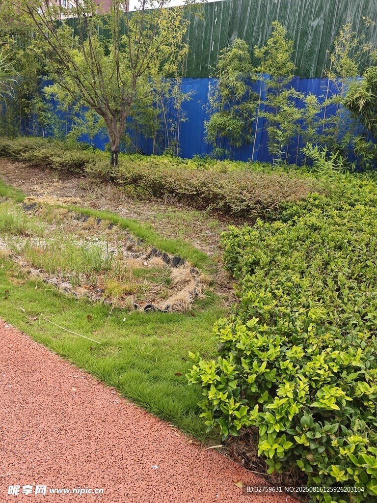 公園綠植小徑景觀