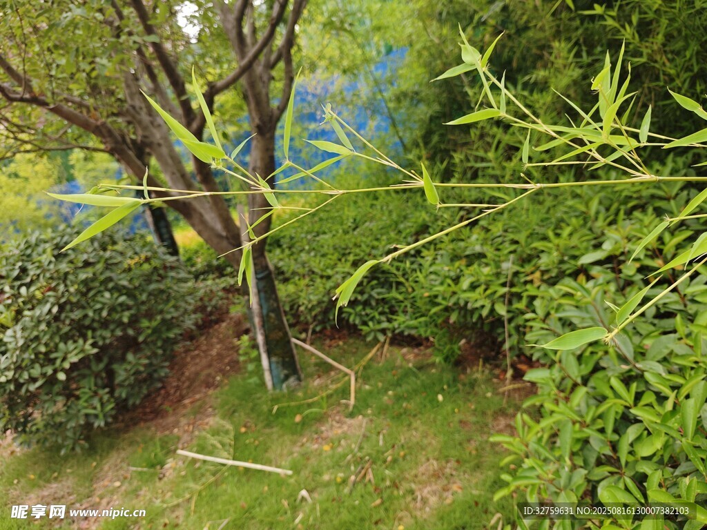 戶外綠植環(huán)繞的自然景致