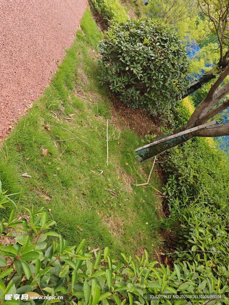 戶外綠植景觀一角