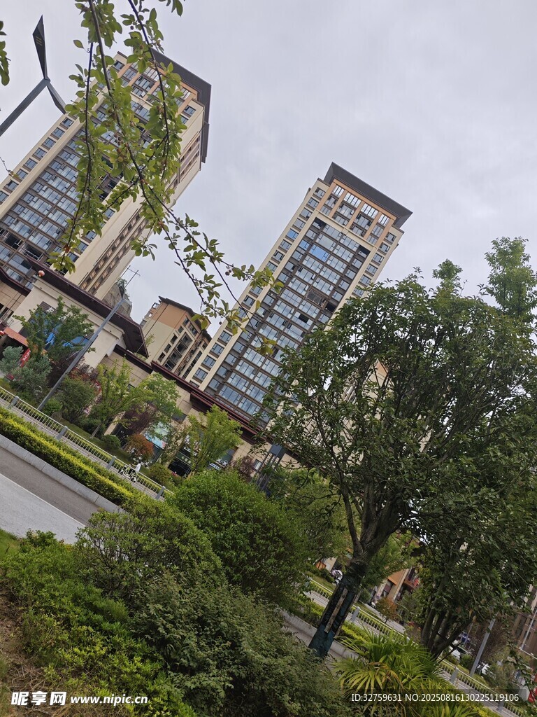 城市中的高樓與綠植景觀