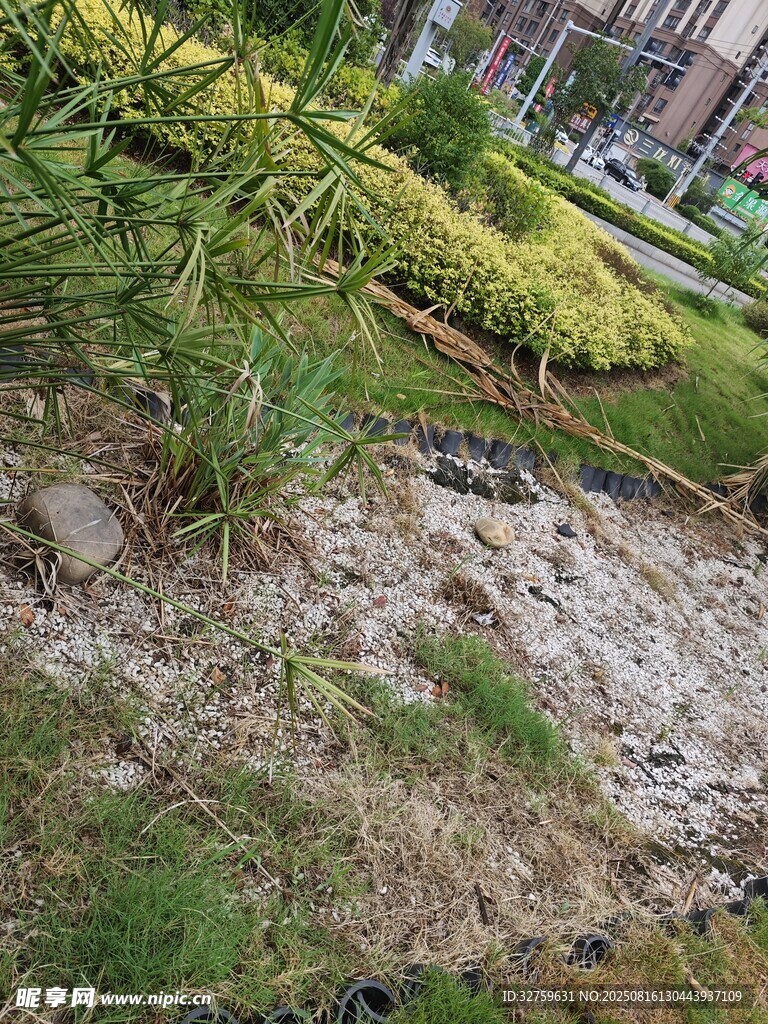 路邊綠植旁的碎石地面