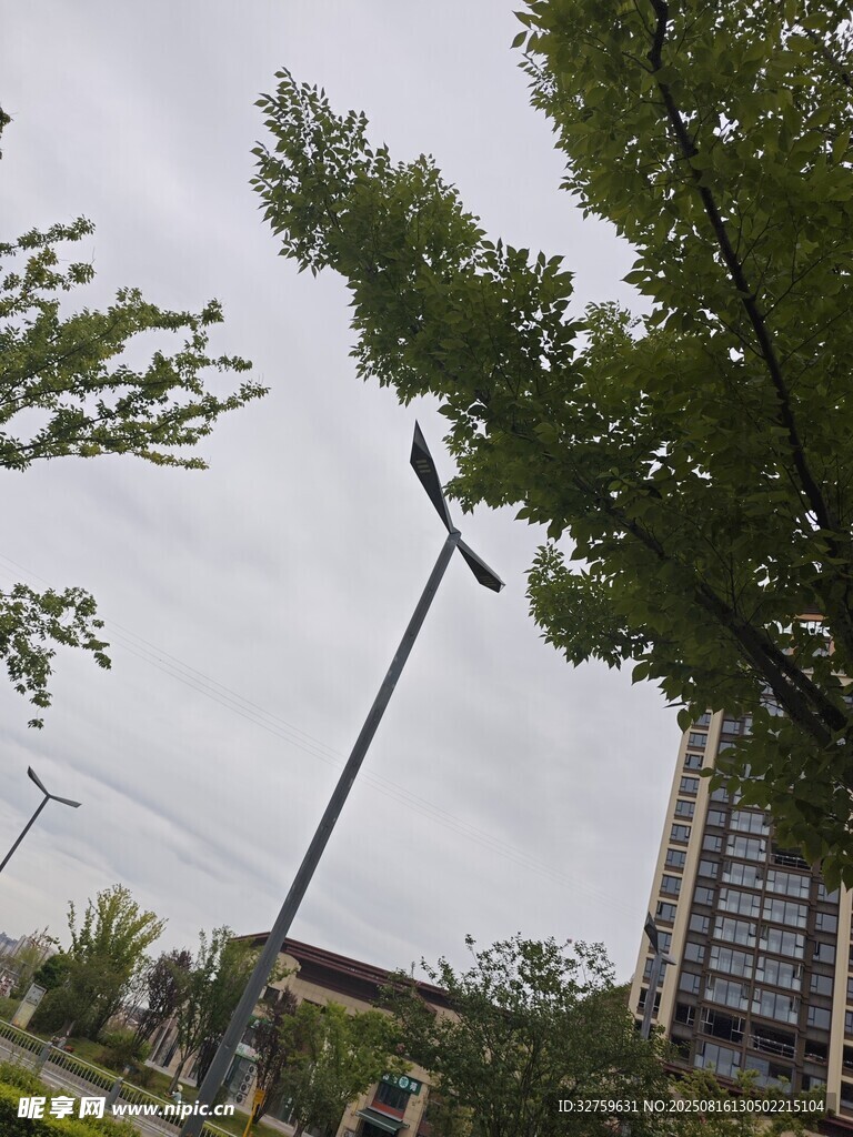 城市中的高聳路燈與綠樹