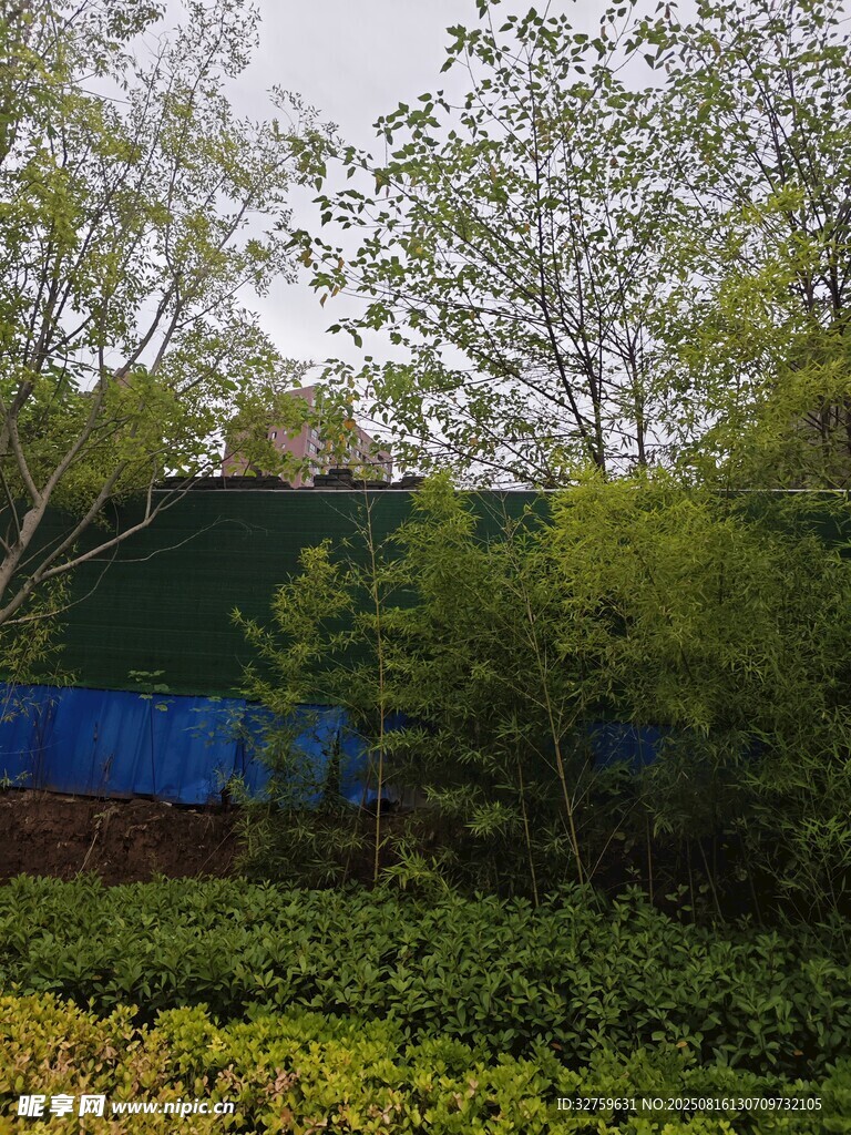 戶外綠植與藍幕景觀