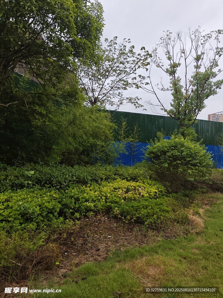 綠意盎然的戶(hù)外景致