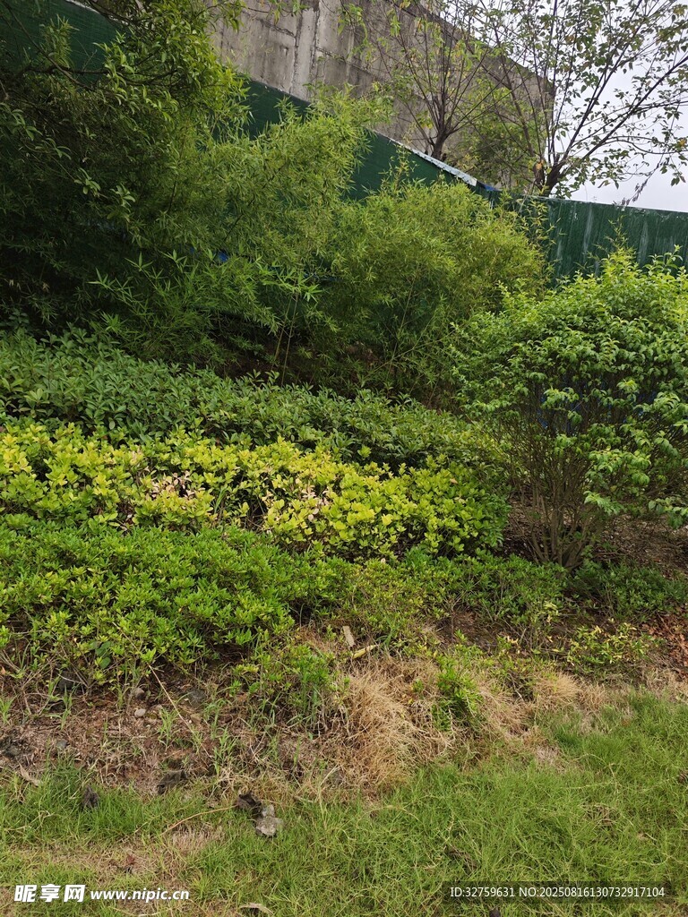 戶外綠植景觀一角