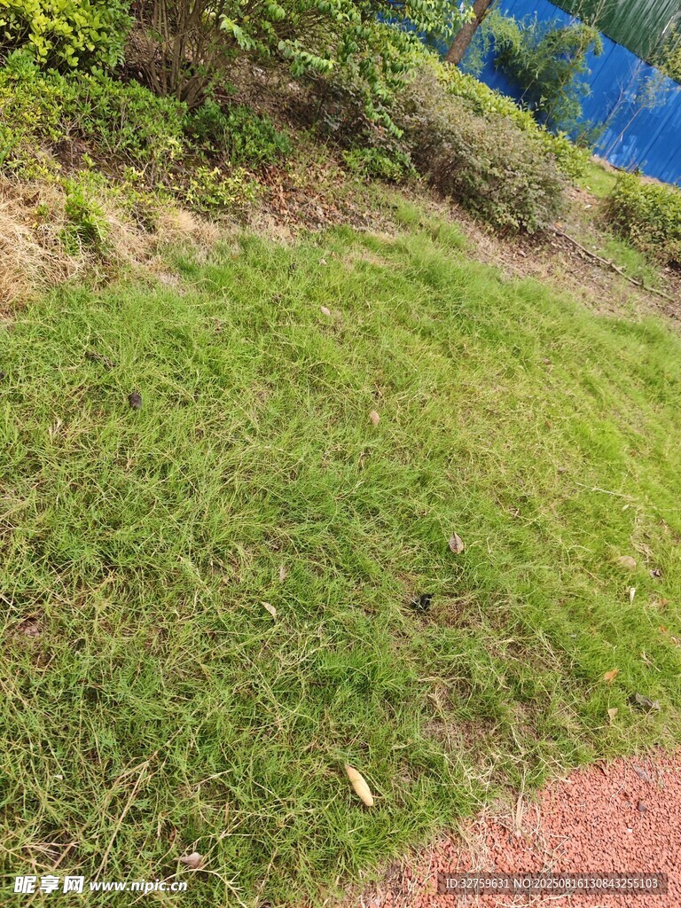 戶外綠地與小徑景觀