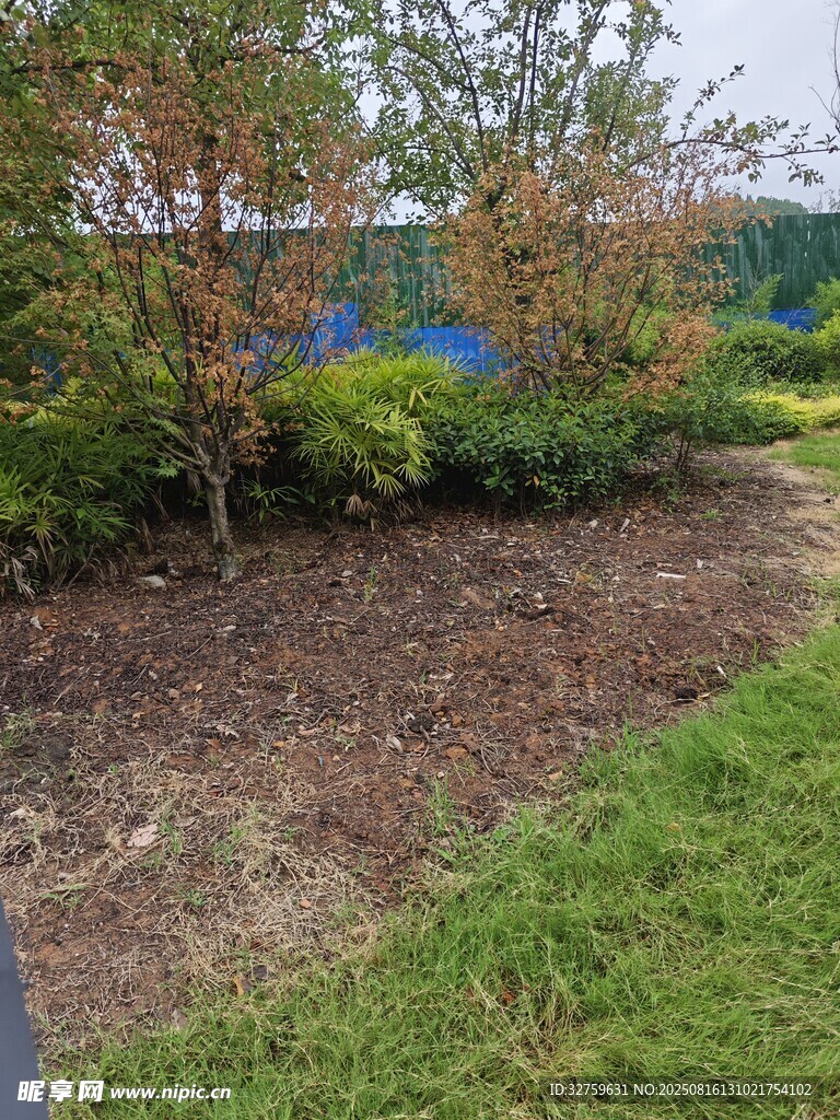 戶外綠地與低矮植物景觀