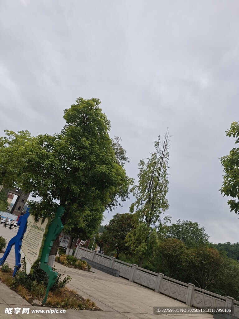 路邊綠樹成蔭的風景