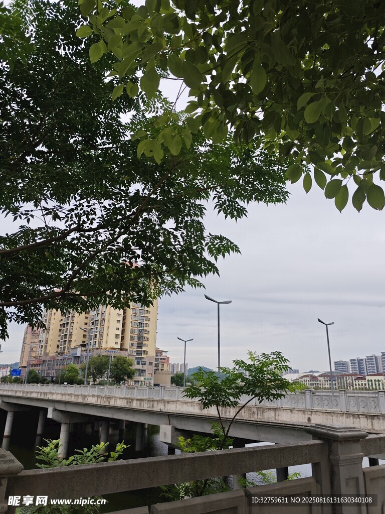 城市景觀中的綠樹(shù)與欄桿