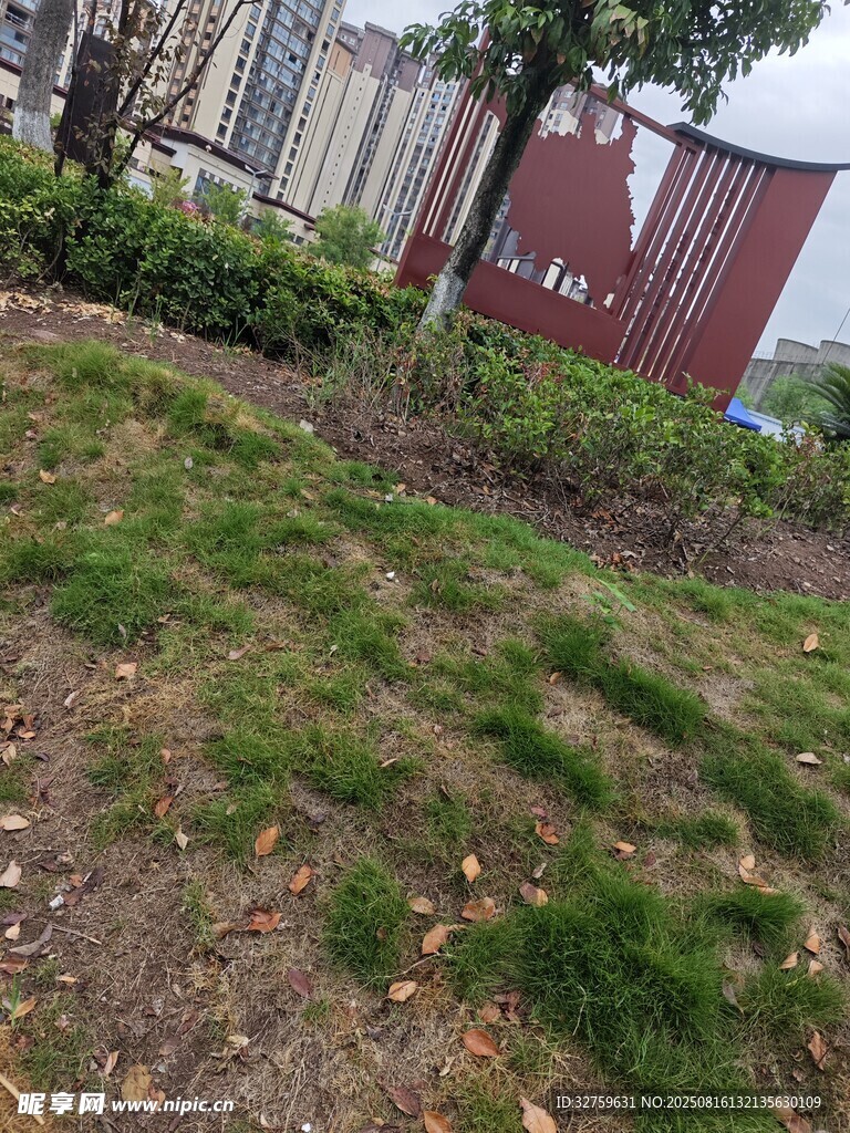 戶外草地旁的紅色箱體