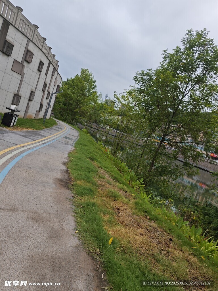 校園旁的小路與綠植