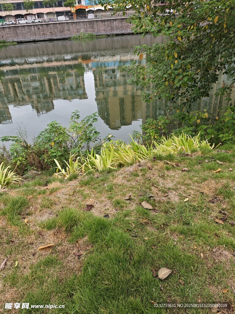 河畔綠植景觀