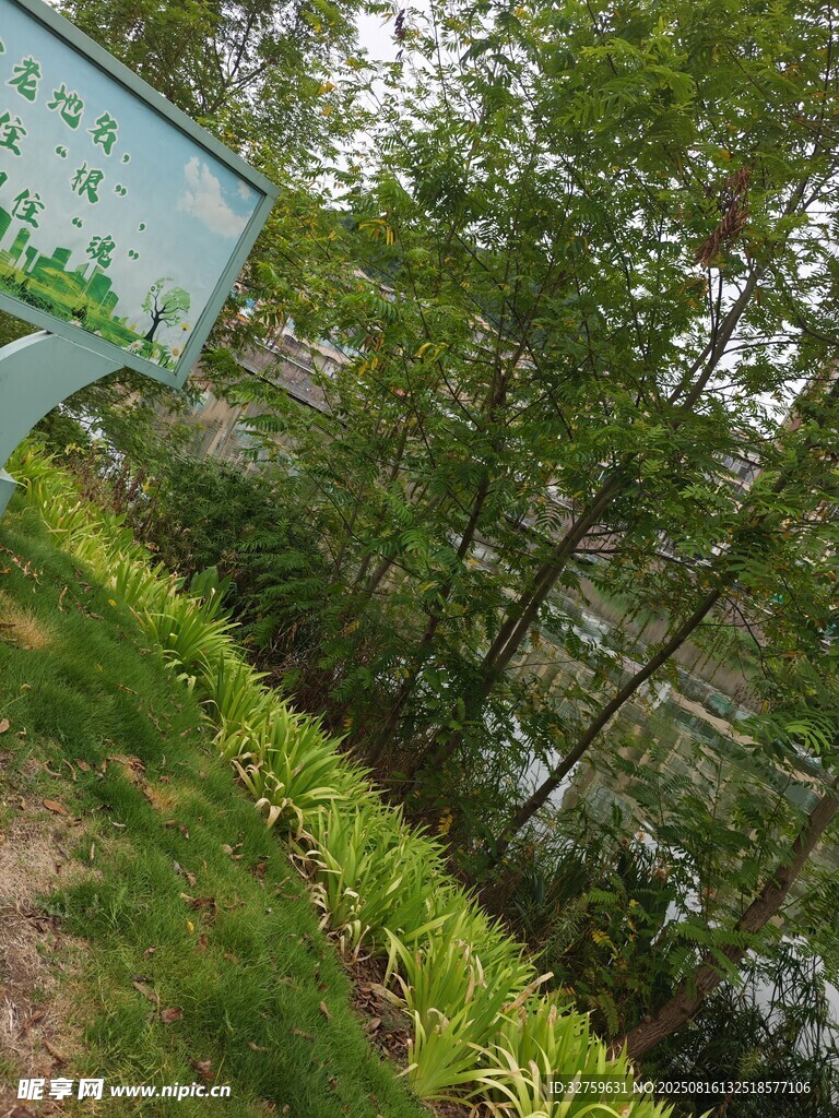 戶外綠植景觀一角