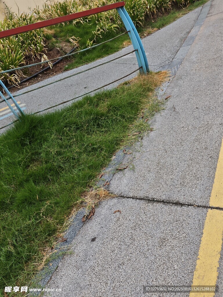 路邊的綠植與道路設(shè)施