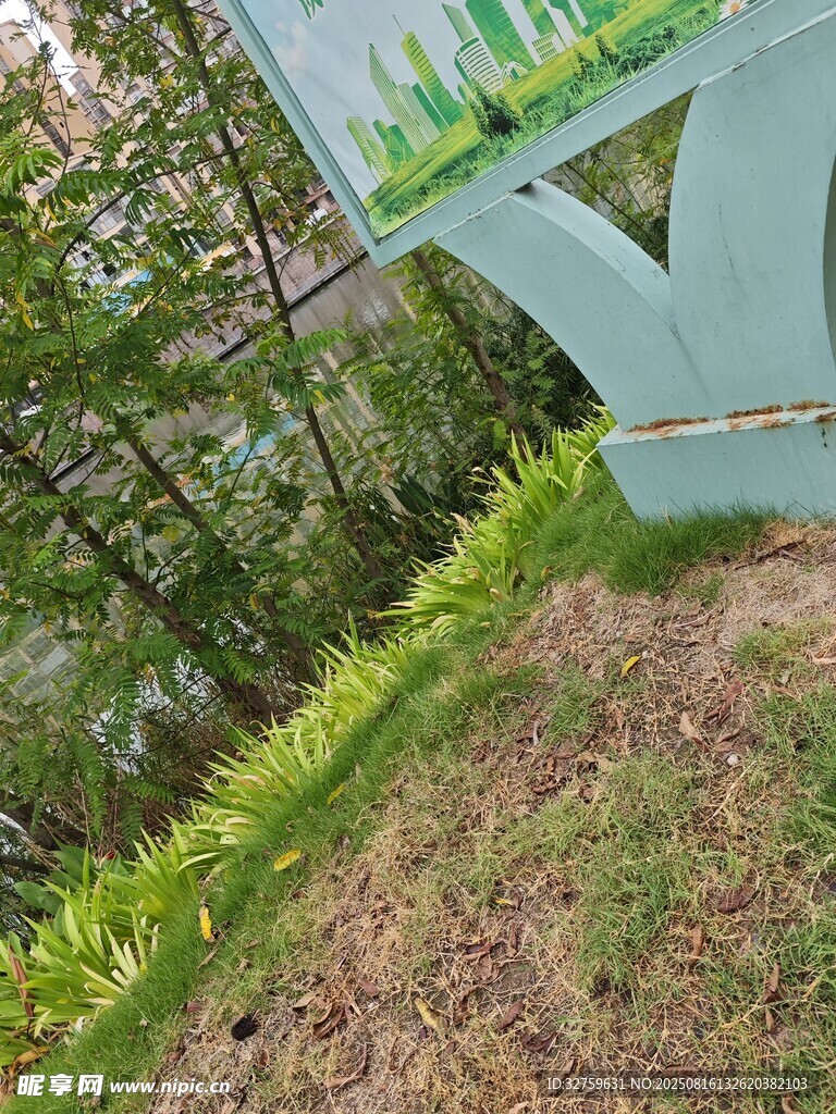 戶外綠植環(huán)繞的清新場景