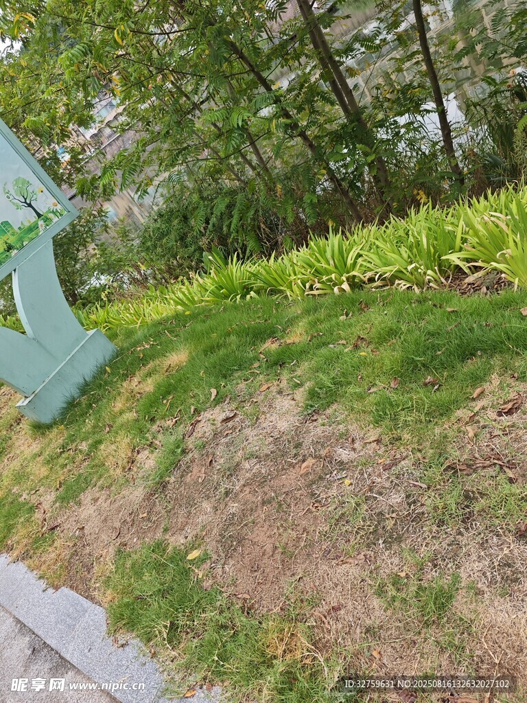 戶(hù)外草地綠植景觀