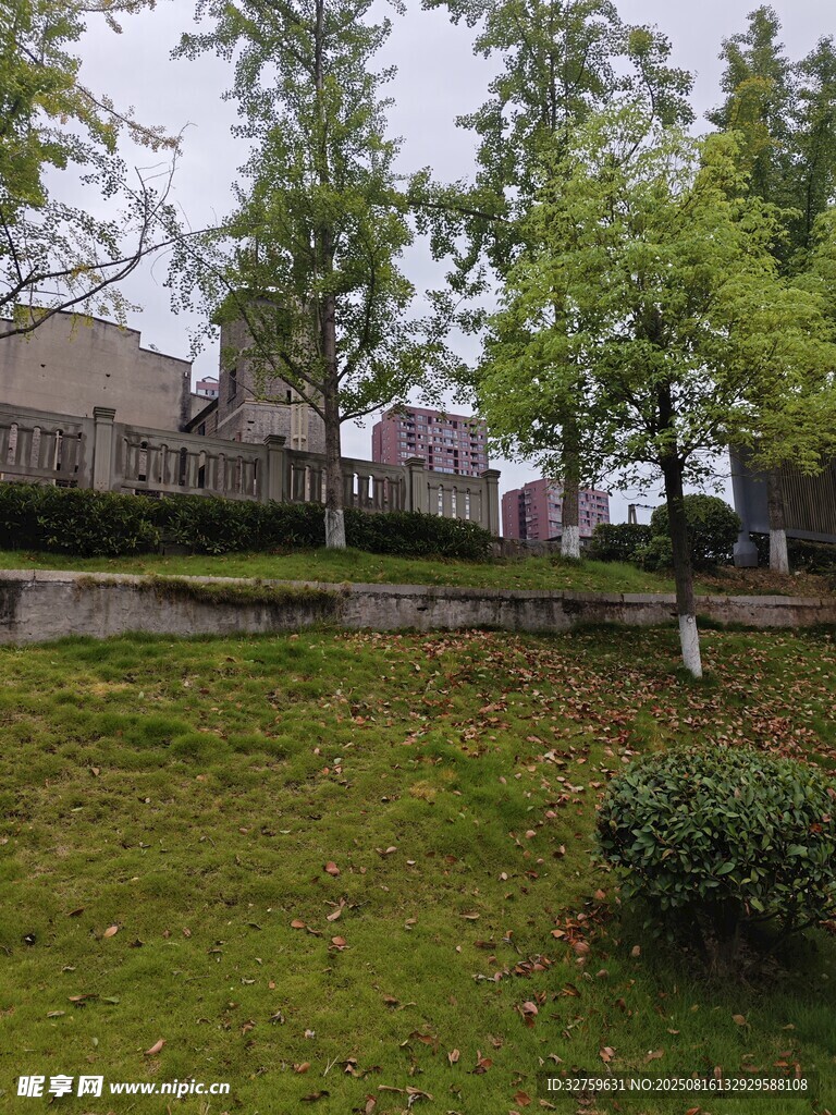 戶外草地旁的建筑景觀