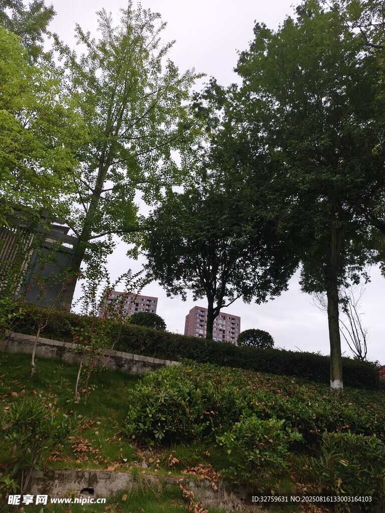 戶外綠樹與房屋景致