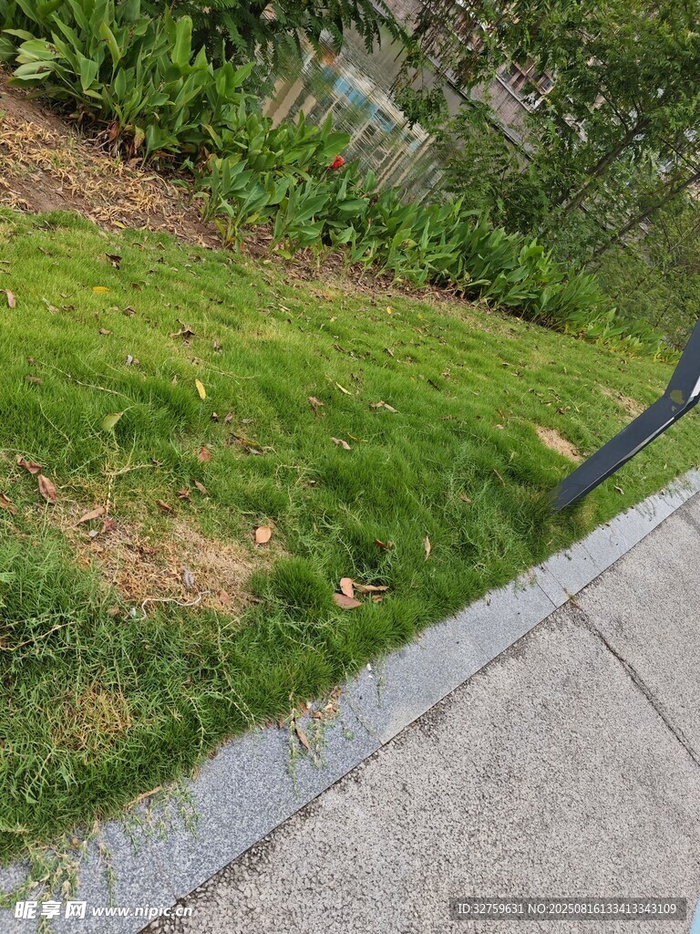 路邊斑駁草地景觀