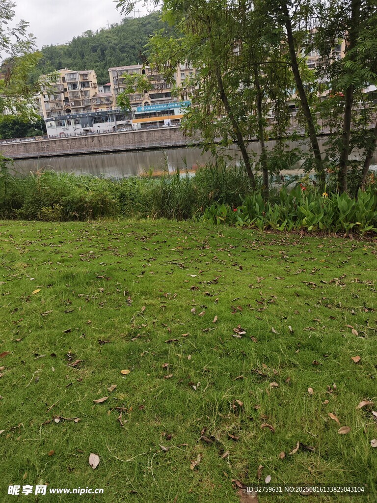 戶外草地與遠(yuǎn)處建筑景觀