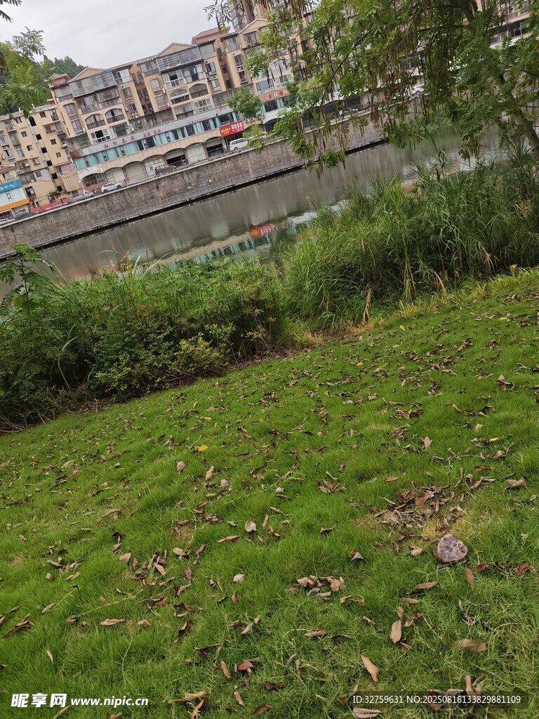 河畔草地與遠(yuǎn)處建筑景觀